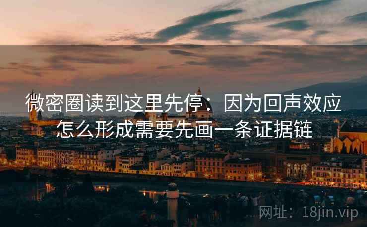 微密圈读到这里先停：因为回声效应怎么形成需要先画一条证据链