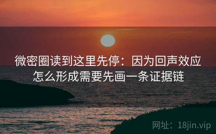 微密圈读到这里先停：因为回声效应怎么形成需要先画一条证据链